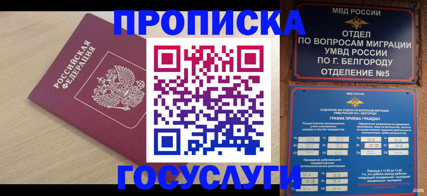 прописка законно в Кремёнках